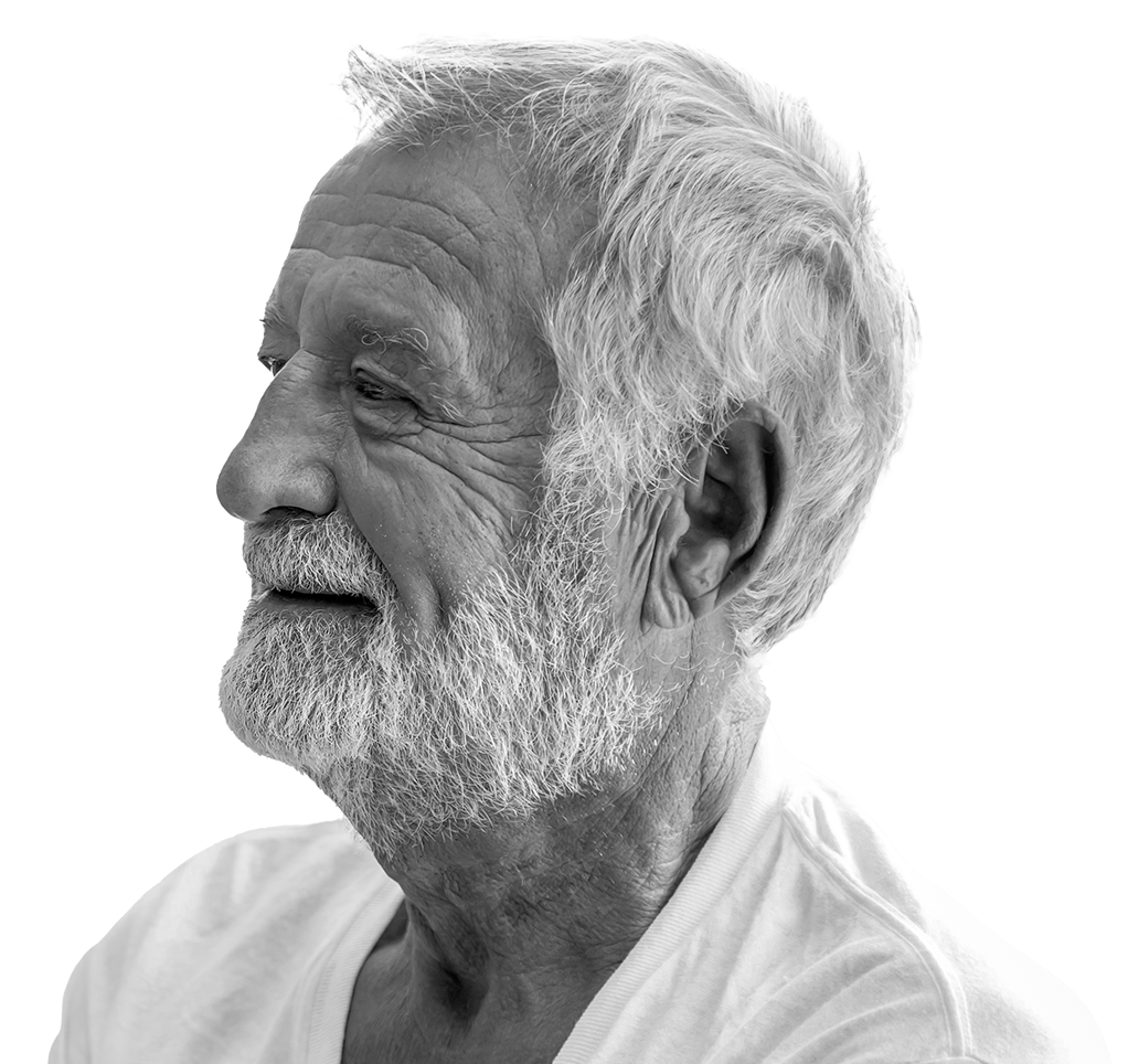 white image of
